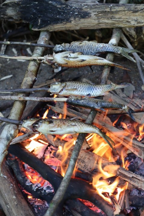 Mancing dan Nyelam Tembak Ikan Tipis-Tipis di Sung
